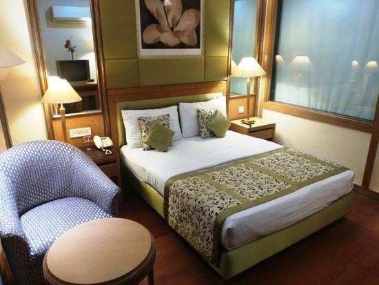 Hotel Jewel Palace Нью-Делі Екстер'єр фото